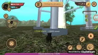 0_0