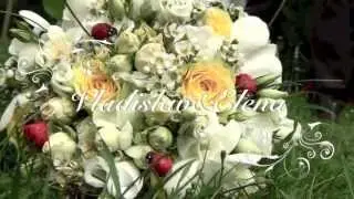 Свадебный клип Vladislav&Elena. "Божья коровка"