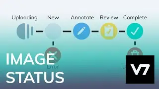 Image Annotation Statuses: Annotate, Review... - V7 AI Academy