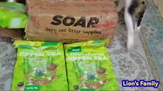 SoarTofu Cat Litter Natural Plant Green Tea Flavour #Kucing Pasir #Cat Litter #Tofu Litter