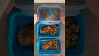 Easy Meal Prep With Flat Stacks