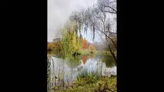 Осень стучит в небеса!
