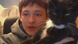 АЛАН И ЕГО КАНАЛ ЖИВЫ
