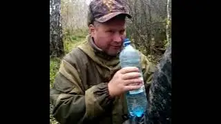 Золотая осень