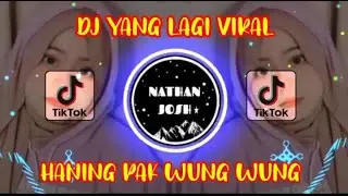 🔴 DJ HANING LAGI VIRAL PAK WUNG WUNG FUL BASS TERBARU ‼️
