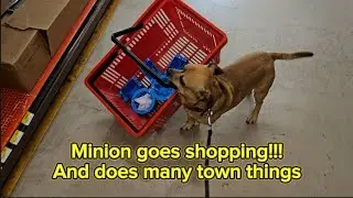 Minion has a town day!!!