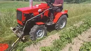 Немного косьбы