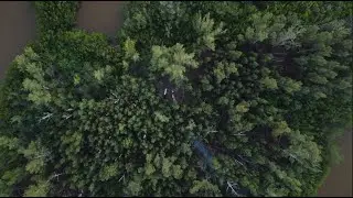 DUAL SURVIVAL ON AN ISLAND IN FLORIDA (NO FOOD, NO SHELTER)