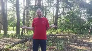 #22 Космоэнергетика против комаров!