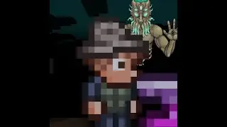 Terraria Angler when