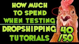 How much to Spend when Testing Dropshipping Campaigns - [Free DropShipping Video Tutorials # 40/50]
