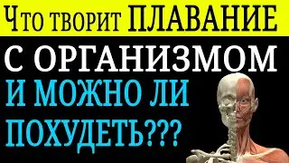 Что творит ПЛАВАНИЕ с организмом! Можно ли похудеть плавая?