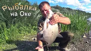 The bream goes crazy on this groundbait with a plant-based additive. And a piece of lard for a sn...