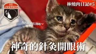林燒肉日記#5_神奇的針灸開眼術