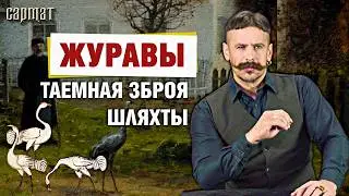 “Журавы дворныя” – забытая шляхецкая традыцыя 🗡️ Сармат
