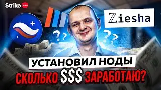 Заработок на нодах. Установил ноды Starknet, Minima, Ziesha