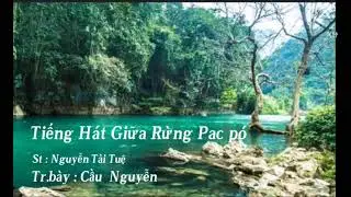 TIẾNG HÁT GIỮA RỪNG PẮC PÓ. St: Nguyễn Tài Tuệ.  Tr.bày: Cầu Nguyễn.