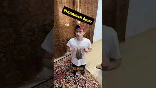 Старший и младший брат / Котики 