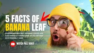 5 Banana Lead Facts | Sustainability, ECO-Friendly | ARKCA