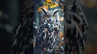 पंच्छी जैसे दीखने वाले रहस्यमयी पत्थर⚠️ #trending #owl #amazingfacts #amazing #shorts #facts #fact