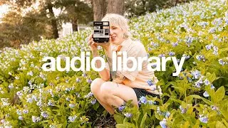 Butterfly (VIP Mix) – Hunter Milo (No Copyright Music)