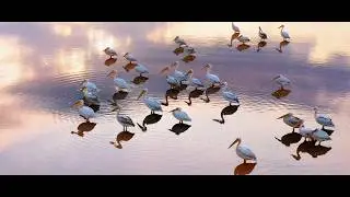 Квітка душа - Ангела Кондратьєва (9 років) #angela #Квіткадуша