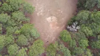 Once upon a time, Umstead Park - Raleigh NC