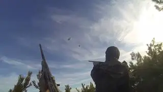 Отличный выстрел.