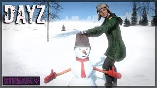 DAYZ / PERVAK / ЗИМУШКА