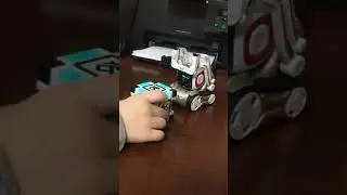 Cozmo kids