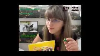 Цитататы и афоризмы в картинках