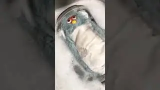 baby water aerobics