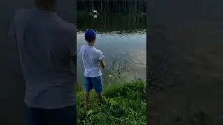 Откуда она взялась то😲??? #ловлятолстолобика #карповыеснасти #рыбалка #fishing #love #nature #viral