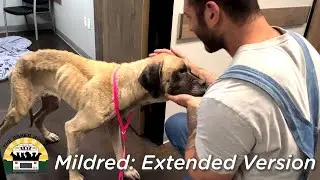 Mildred's Remarkable Story: Extended Edition | The Asher House