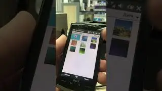 Acer