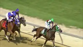 TIMONIUM 08 25 2024 RACE 4