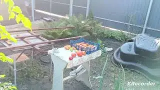 Что мы делаем на даче.