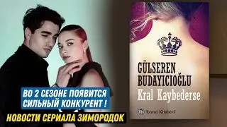 Турецкий сериал Зимородок 2 сезон новости - Появится сильный конкурент сериала Зимородок