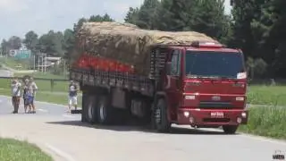 Sonho de ser caminhoneiro!!!