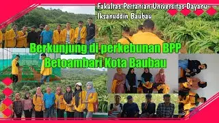 Film Pendek Berkunjung ke BBP Pertanian Kota Baubau
