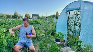 What’s on my small farm in Poland 🇵🇱