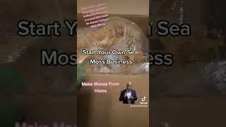 Start Your Own Irish Sea Moss Business. Make Money From Home. A good Side Hustle, Make Hundreds.