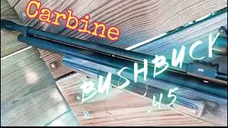 New Bushbuck Carbine .45, First Look, Ammo Selection on Low Power, Accuracy, Initial Thoughts...