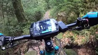 MTB Enduro EMTB Trail Black Forest Baiersbronn T8, T1, beste Piste Zuhause