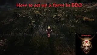 How to setup a farm in BDO