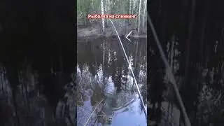 Неожиданный УДАР щуки 