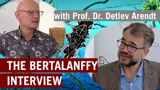 Curiosity driven Science | Bertalanffy Interview with Detlev Arendt