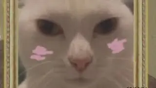 B R E N D A S H U T U P (Madness Combat Shitpost)