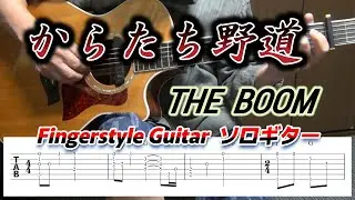 からたち野道/THE  BOOM/Fingerstyle Guitar/ソロギター/TAB