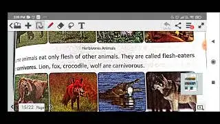 Wild Animals